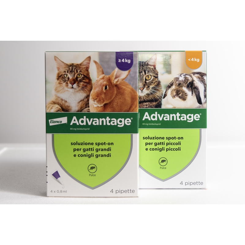 ADVANTAGE 80 GATT. 10% 4 X 0,8