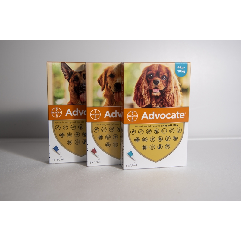 ADVOCATE  CANI    10-25 KG.    6  X  2,5 ML G
