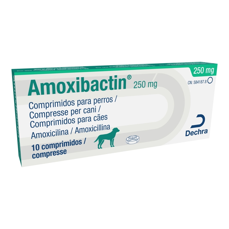 AMOXIBACTIN 250 MG 10 CPR