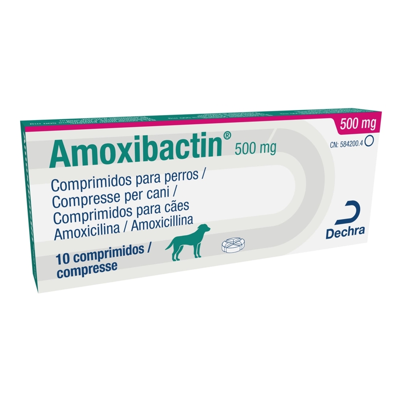 AMOXIBACTIN 500 MG 10 CPR