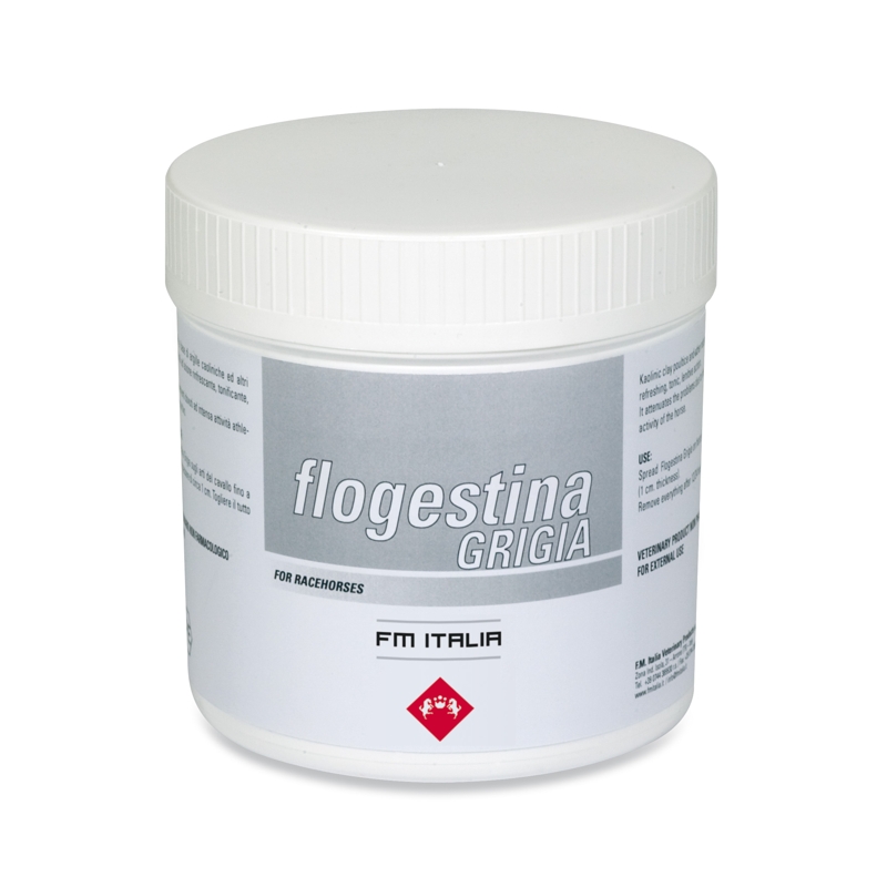 FLOGESTINA GRIGIO Kg. 1 F.M.