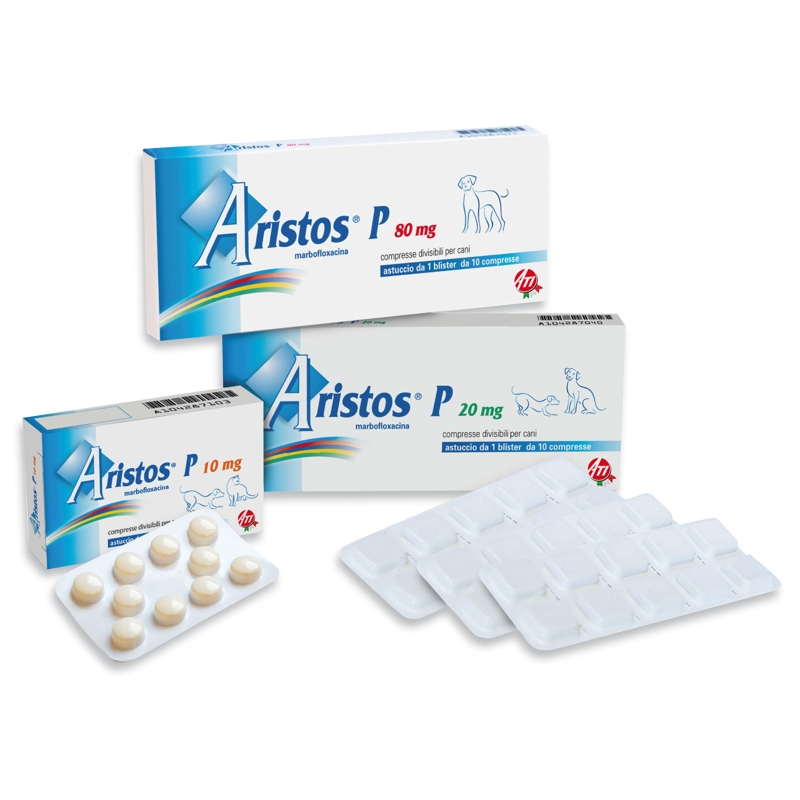 ARISTOS P    80 MG    10 CPR 