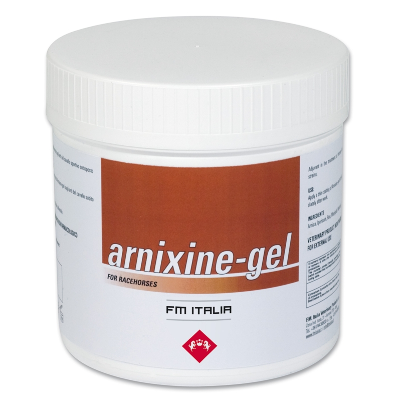 ARNIXINE GEL 3000 ML  FM ITALIA