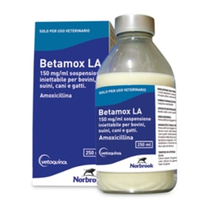 BETAMOX  LA  250 ML