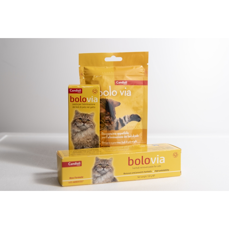 BOLO VIA BOCCONCINI DA 40 G.