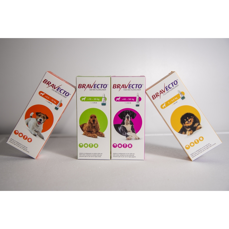 BRAVECTO SPOT ON CANE 1 PIP X   500 mg