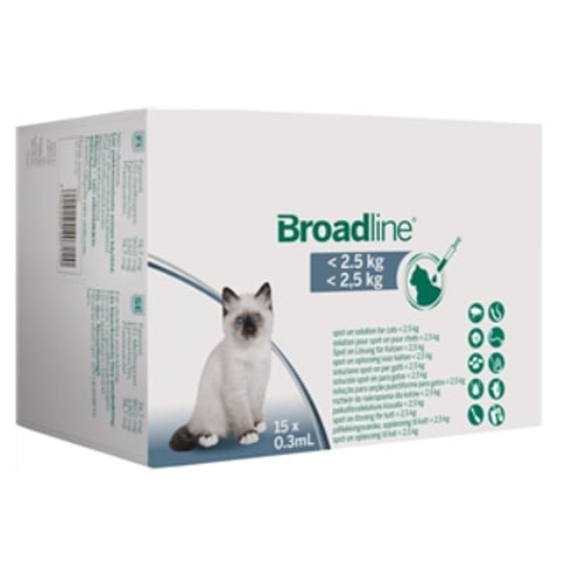 BROADLINE GATTI    S   FINO 2,5 KG  15 PIP 0,3 ML