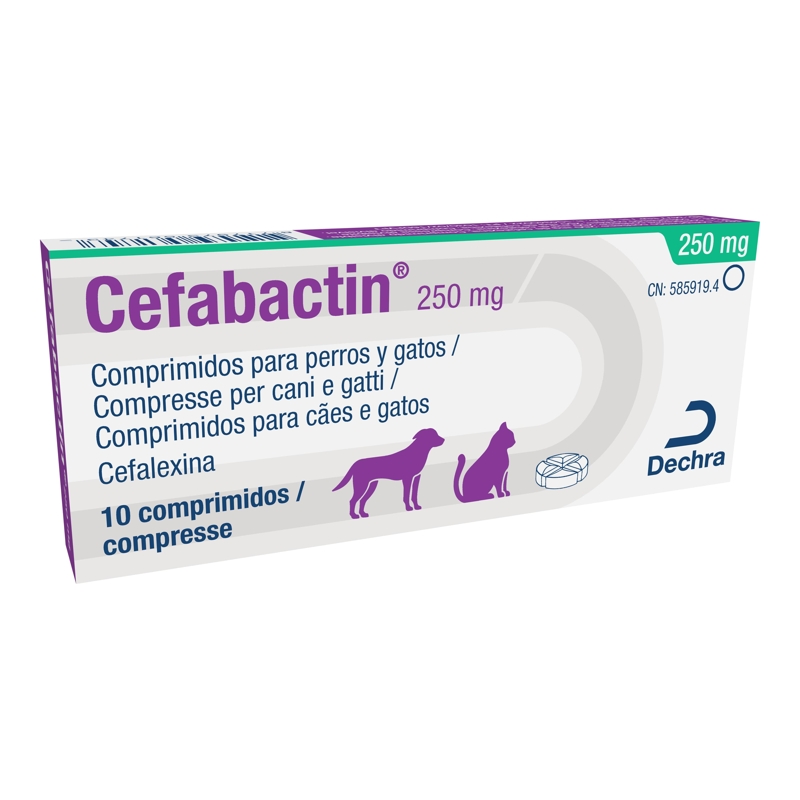CEFABACTIN   250 MG 10 CPR