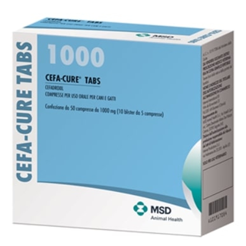 CEFA-CURE TABS. 50 CPR X 1 G.