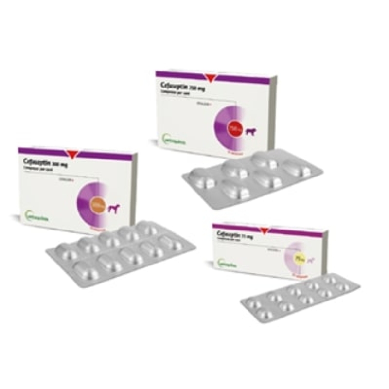 CEFASEPTIN 300 MG  10 CPR