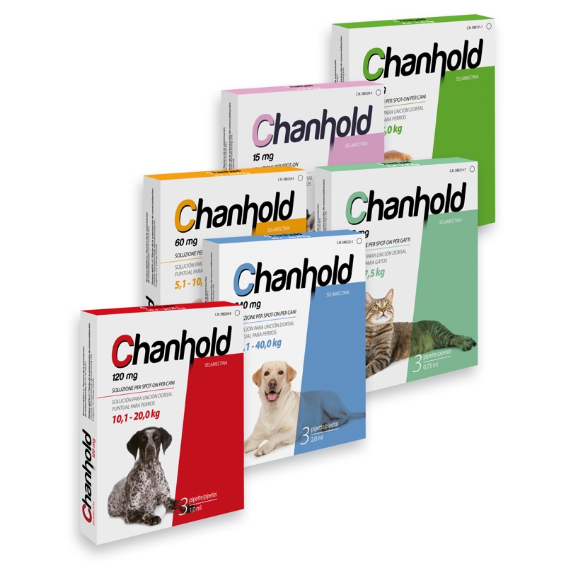 CHANHOLD   45 MG GATTI 2,6-7,5 KG X 3 PIP