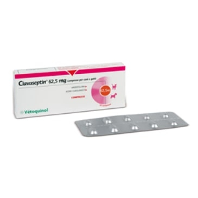 CLAVASEPTIN   62,5 MG.  10 TABS.