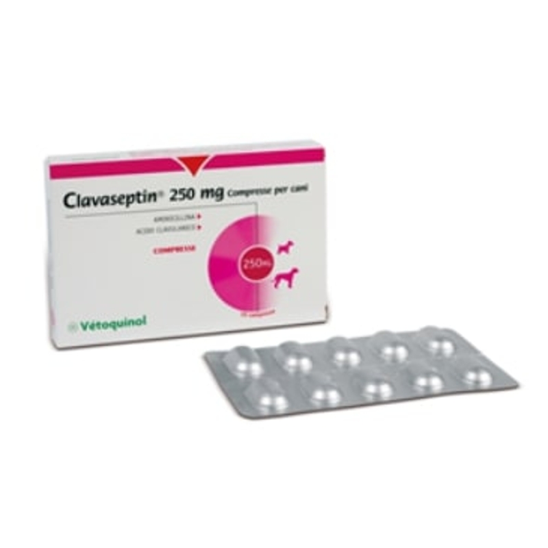 CLAVASEPTIN  250 MG.  10 TABS.