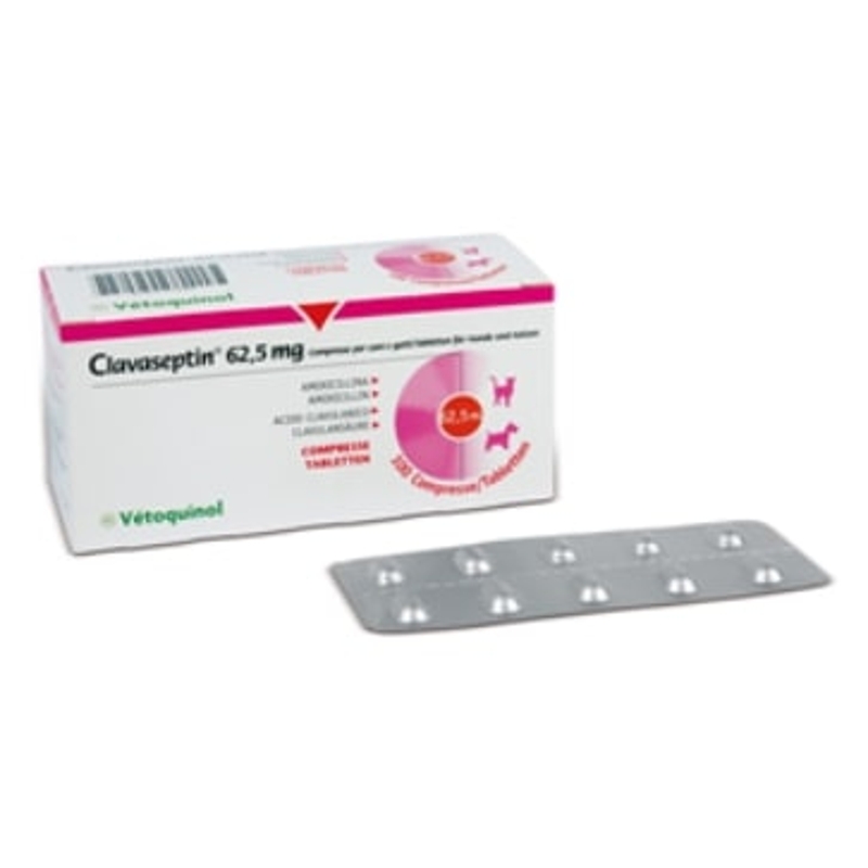 CLAVASEPTIN   62,5 MG. 100 TABS.