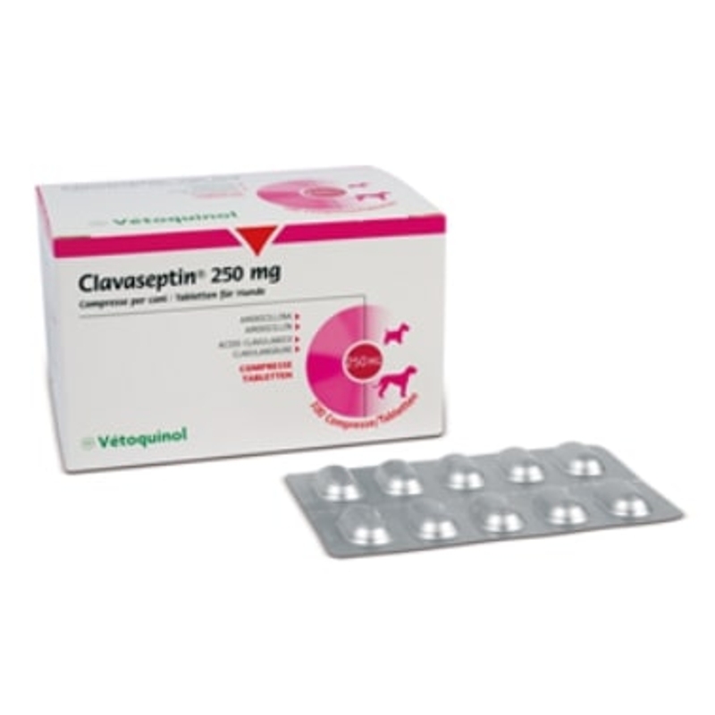 CLAVASEPTIN  250 MG. 100 TABS.