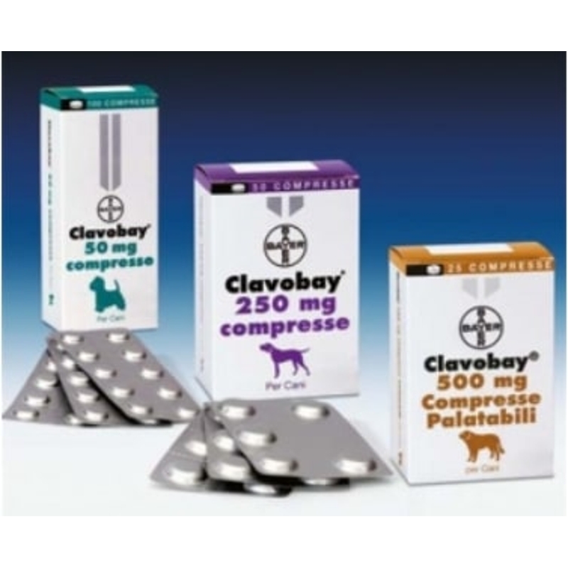 CLAVOBAY  250 CPR. DA 250 MG.