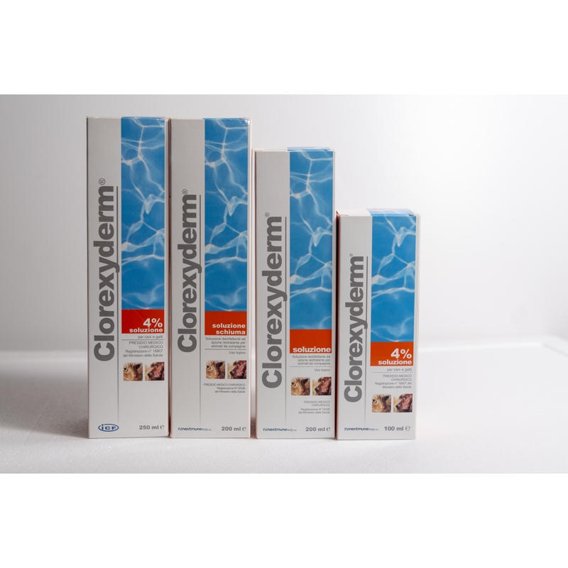 CLOREXYERM SOL. SCHIUMA  200 ML.