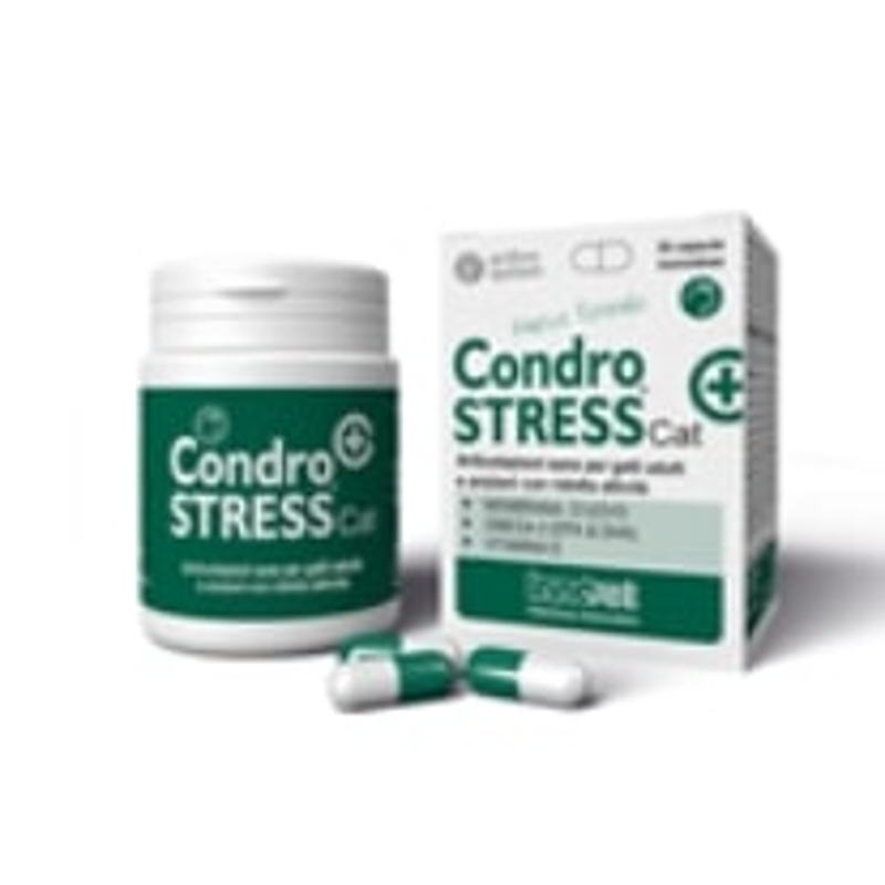 CONDROSTRESS  +  CAT