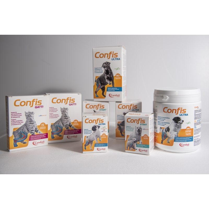 CONFIS GATTI  15 CPS 