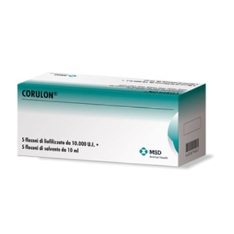 CORULON 5 FLAC.X 10000 U.I.