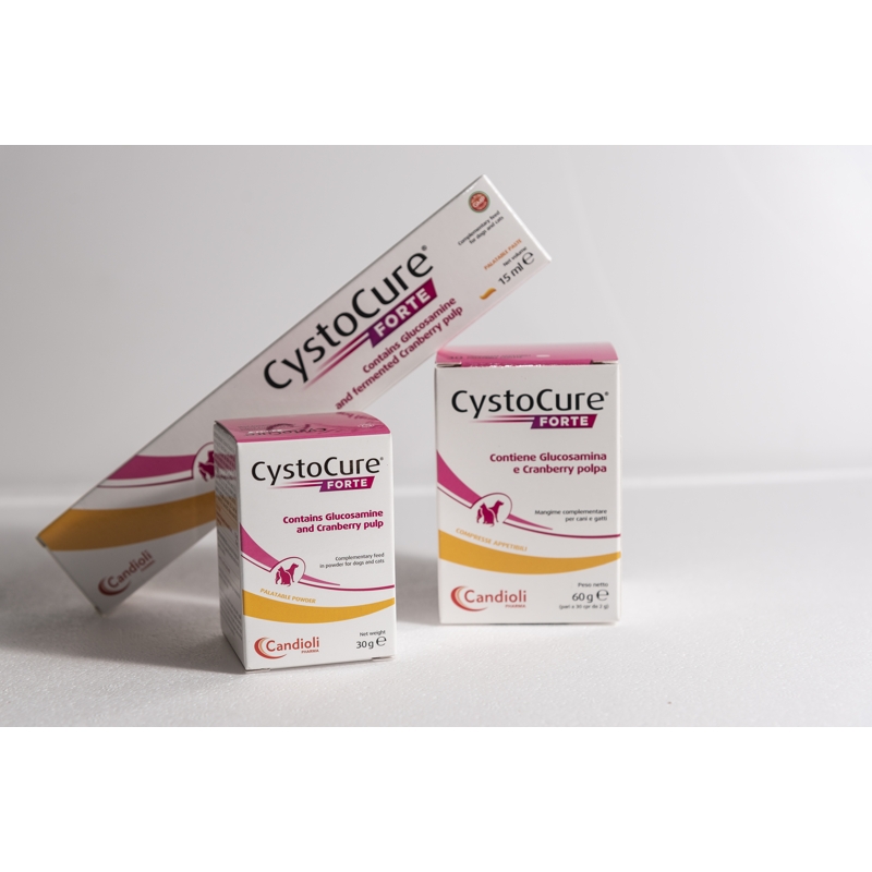 CYSTOCURE FORTE 30 CPR DA 2 G.