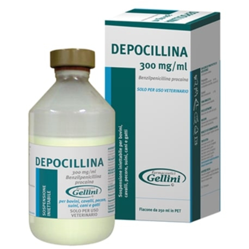 DEPOCILLINA 250 ML