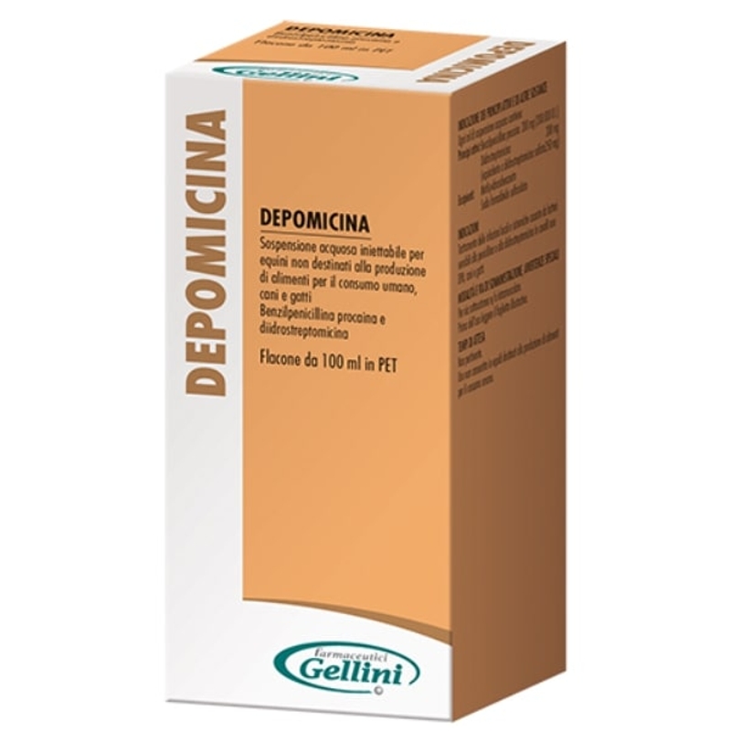 DEPOMICINA 100 ML