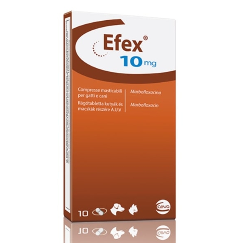 EFEX  10 MG     10 CPR