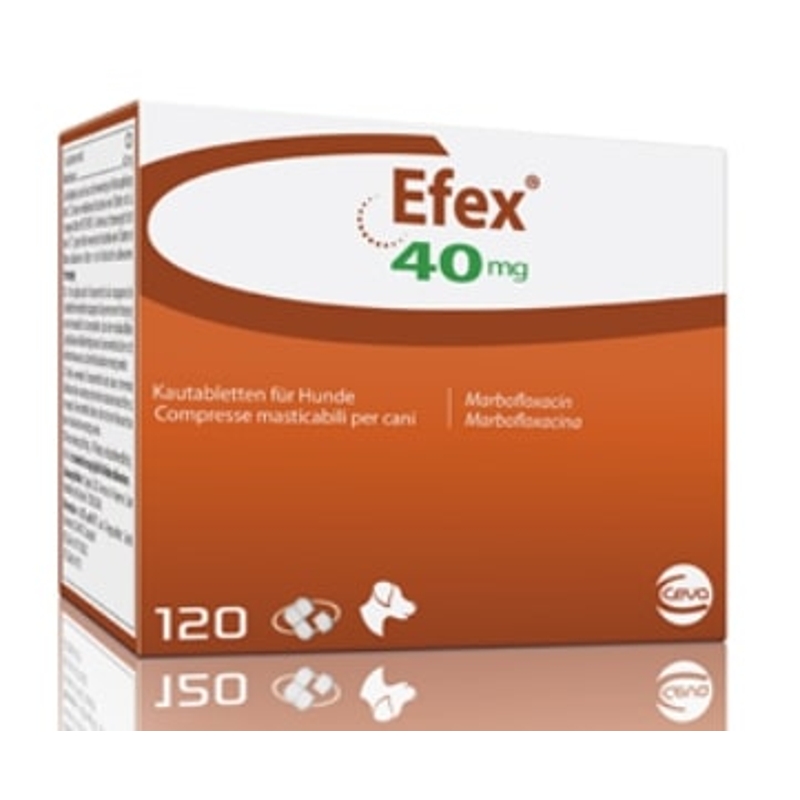 EFEX  40 MG   120 CPR