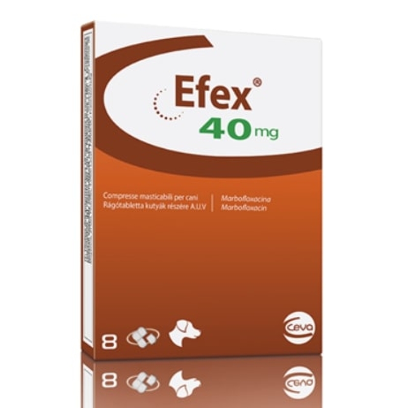 EFEX  40 MG     8 CPR