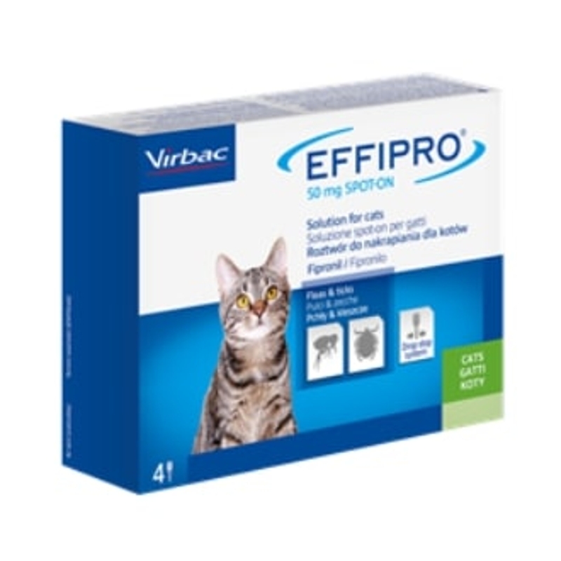 EFFIPRO GATTO  50MG  >1KG       4 PIP.