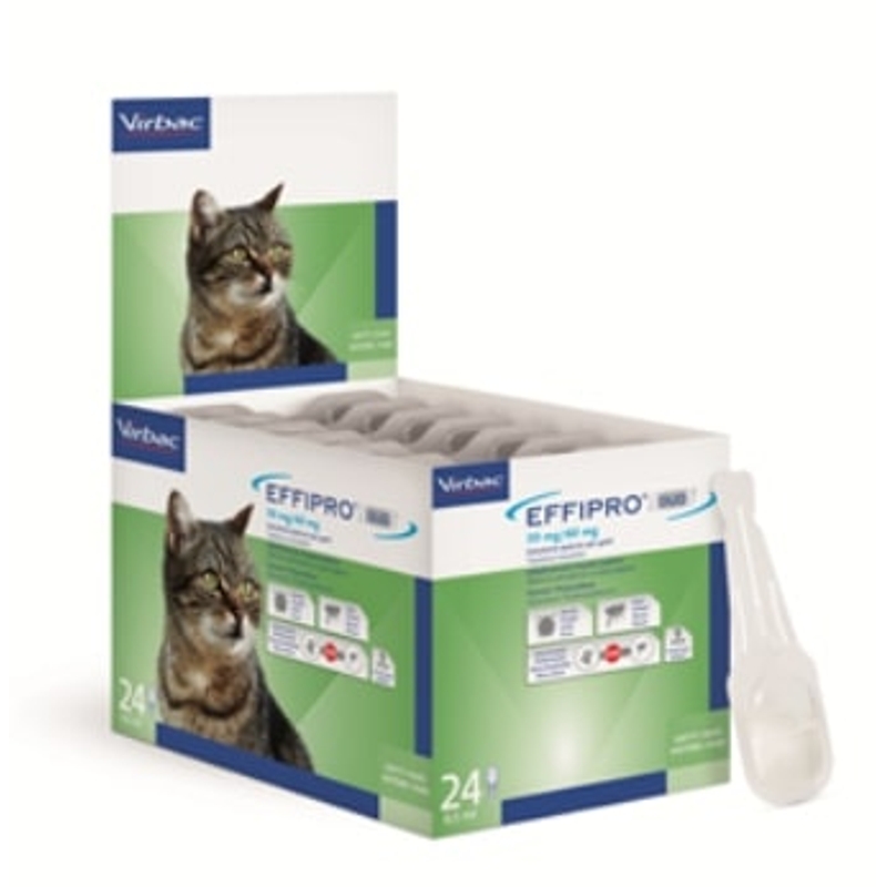 EFFIPRO DUO GATTO  50MG. 24 PIP.