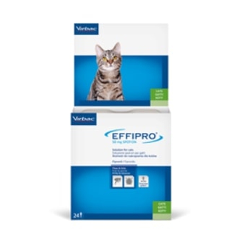 EFFIPRO GATTO  50MG. 24 PIP.