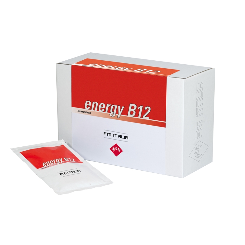 ENERGY BLOOD B12 HEMOPOIETIC 30 G.