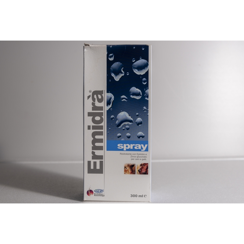 ERMIDRA SPRAY       300 ML