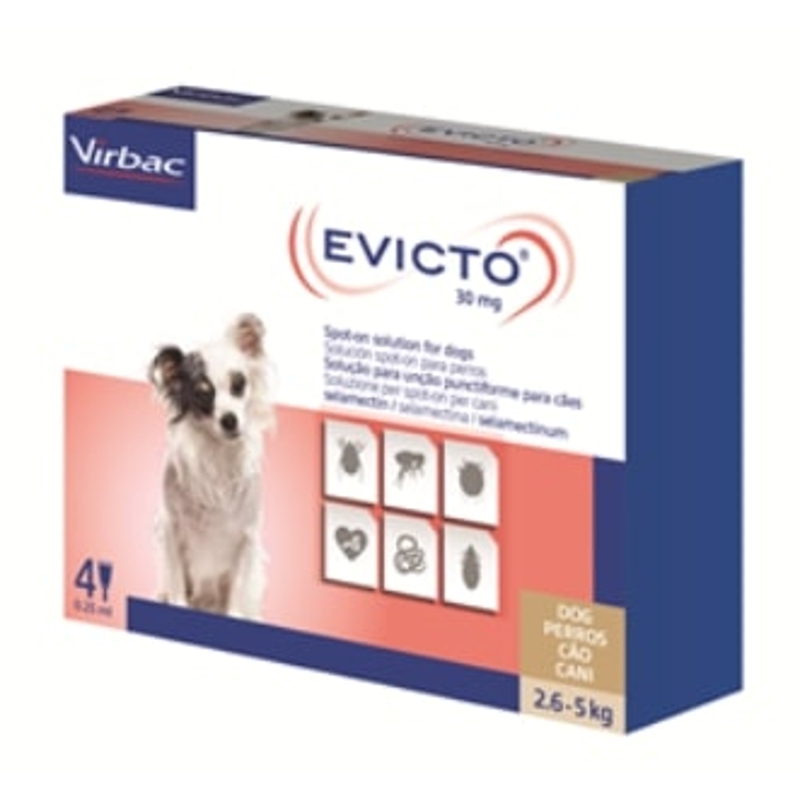 EVICTO   2,6 - 5     KG    CANE