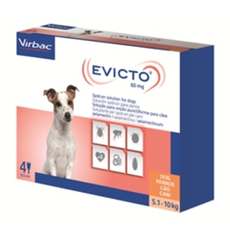 EVICTO   5,1 - 10   KG    CANE