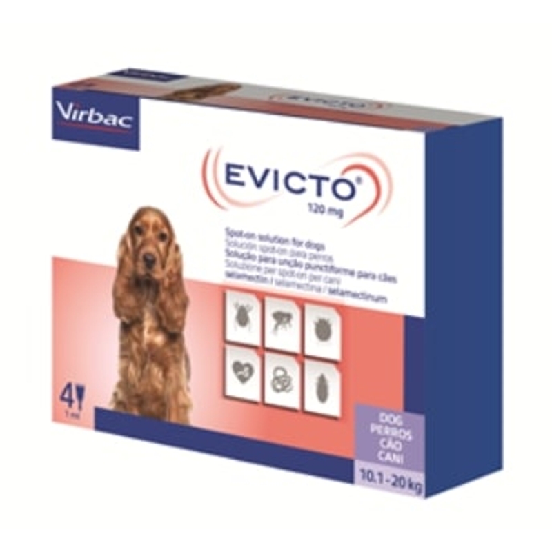 EVICTO 10,1 - 20   KG     CANE