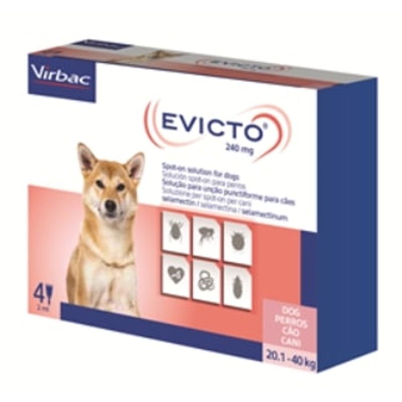 EVICTO 20,1 - 40   KG     CANE