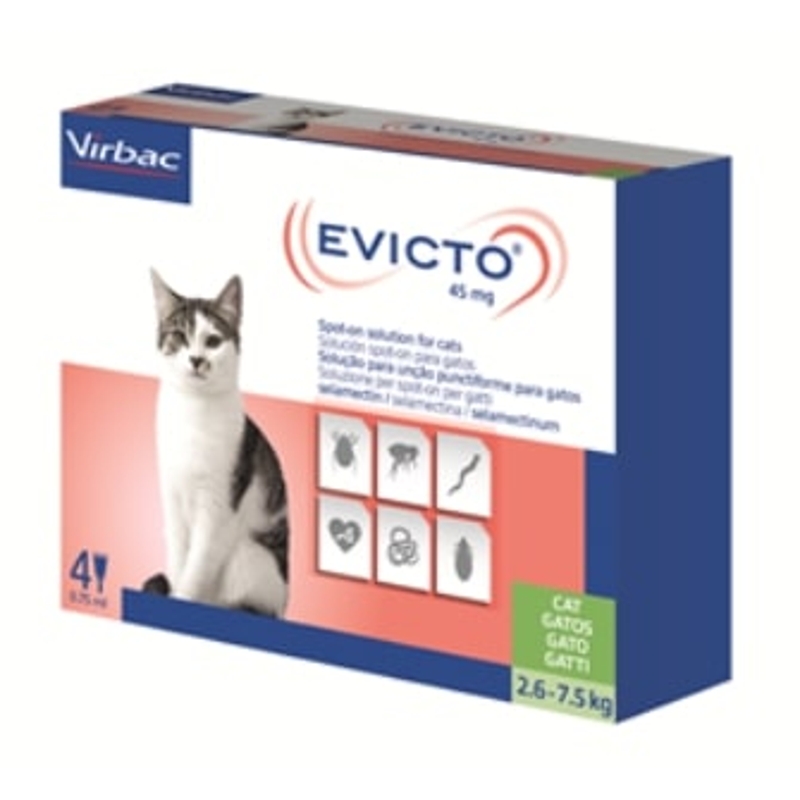 EVICTO  2,6 - 7,5  KG                 GATTO