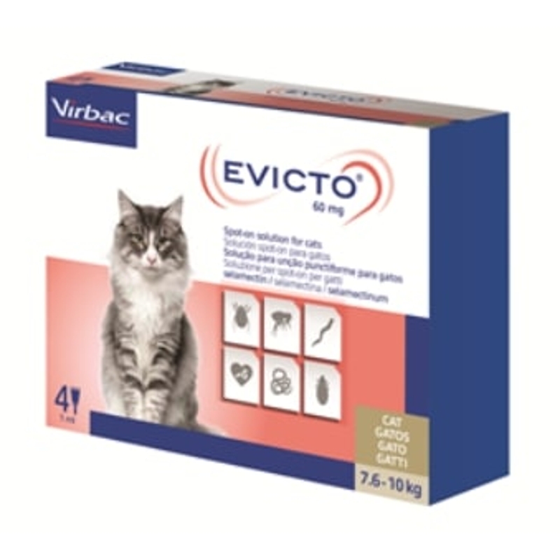 EVICTO  7,6 - 10   KG                 GATTO