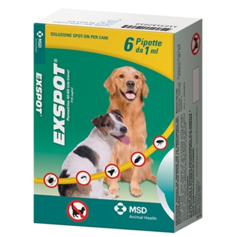 EXSPOT 6 PIPETTE DA 1 ML