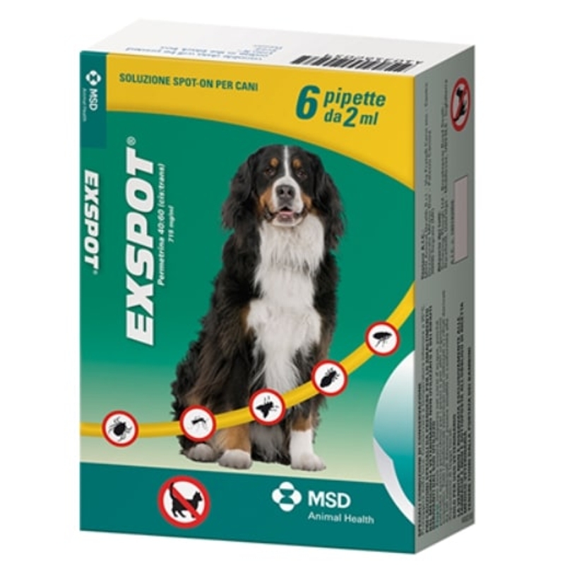 EXSPOT 6 PIPETTE DA 2 ML