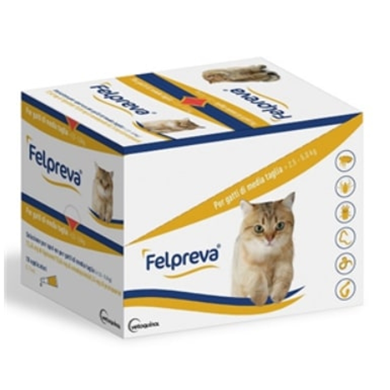 FELPREVA SPOT ON  2,5 - 5 KG 0,74 ML   10  PIP