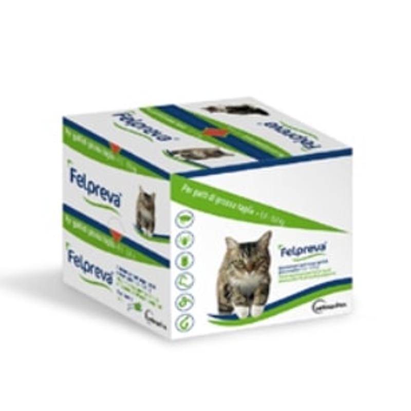 FELPREVA SPOT ON    5-8    KG 1,18 ML   10  PIP
