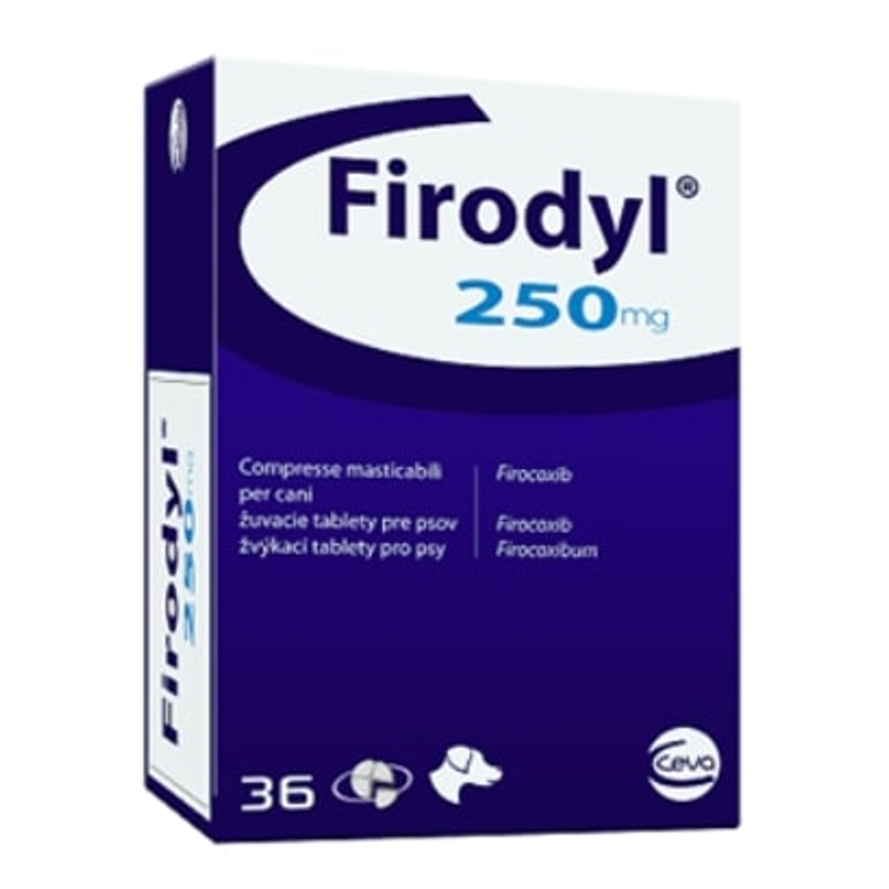 FIRODYL 250 MG.  6 X 6 T