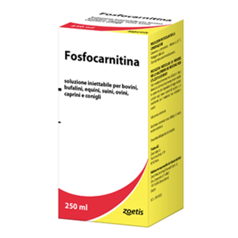 FOSFOCARNITINA 250 ML.