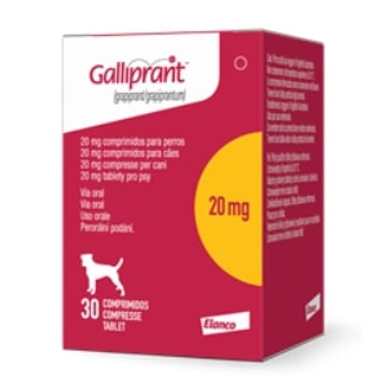 GALLIPRANT  20 MG 30 CPR