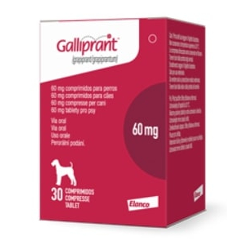 GALLIPRANT  60 MG 30 CPR
