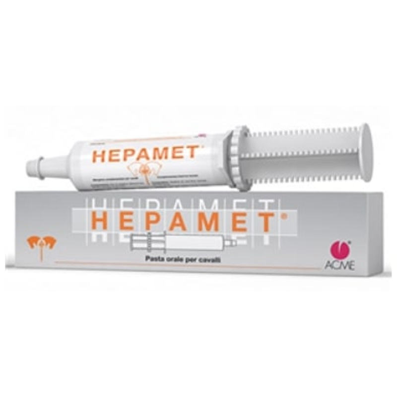 HEPAMET PASTA X 1 SIRINGA 100g